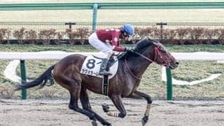 【丹沢S予想】東京ダ2100m巧者で好配狙い