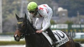 【オークス予想】2ケタ人気で馬券になる馬に共通点あり？ 依然不振が続くアンラッキー枠とは？