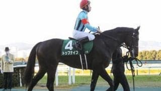 日本ダービーに向けてパワーアップの兆しを見せる伏兵トップナイフ「チャンスはある」と陣営も虎視眈々