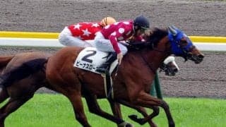 【日曜新潟8R予想】芝替わり＆距離短縮で激走期待