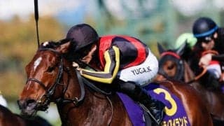 【オークス・馬体重】リバティアイランドは466kg(増減なし)、ハーパーは468kg(+6)