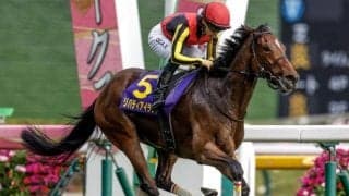 【JRA・WIN5】本日のWIN5は的中12票、配当4219万5310円