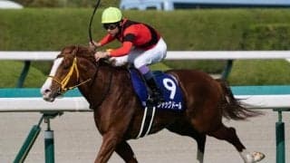 【安田記念】ジャックドールやソダシなど GI馬10頭含む21頭が登録