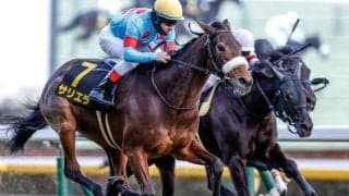 【目黒記念】サリエラ、プラダリアらが登録