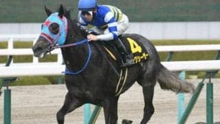 【葵S】ビッグシーザー、モズメイメイらが登録