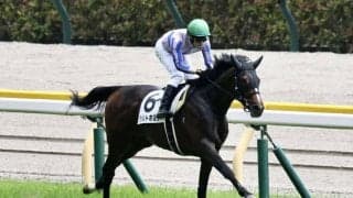 【東京5R】シルトホルンが逃げ切って2勝目