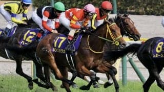 【オークス】ベストターンドアウト賞はシンリョクカ・美濃伸明厩務員