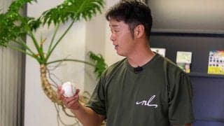 ボールを「浅く握れ」はNG？　最速155キロの指導者が推奨…球速アップを導くコツ