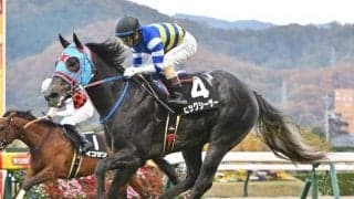 【葵S見どころ】ビッグアーサー産駒ビッグシーザーの5連勝なるか