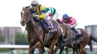 【日本ダービー見どころ】2020年に生まれたサラブレッドの頂点に立つのはどの馬か