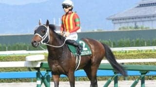 【平安S】売上は35億8684万4900円で昨年より約3億円減少