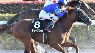 【先週のJRA抹消馬】19年の兵庫GTを制したデュープロセス、芝の中長距離で活躍したタガノディアマンテなどが抹消