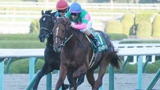 悲運の死遂げた兄の思い背負い 京都2歳S覇者がダービーで厩舎にGI・2勝目届ける