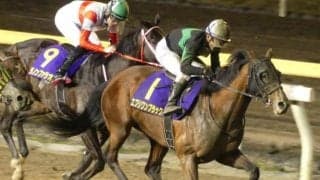 【大井記念枠順】キタサンブラックの全弟エブリワンブラックは2枠2番、JpnI馬ダノンファラオは7枠11番