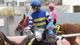 【葵S想定騎手】ビッグシーザーは幸英明騎手、モズメイメイは武豊騎手