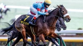 【目黒記念想定騎手】サリエラはC.ルメール騎手、ボッケリーニは浜中俊騎手