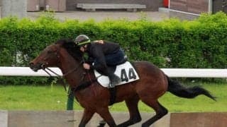 札幌競馬場でトレーニングセールの公開調教 116頭中1番時計はセンターグランタスの2021