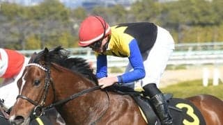 セレクト2億4200万円の末脚自慢が日本ダービーに 母クイーンズリングは16年エ女王杯覇者