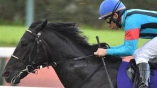 ベテラン横山典弘騎手の手綱捌きに注目 逃げ差し自在派とのコンビで9年ぶりダービーVへ