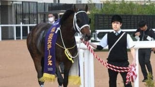 キンカメ系が成功する配合構成 アーモンドアイやリバティアイランドも同じパターン