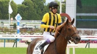 【葵S展望】牝馬の活躍が多い3歳スプリント重賞、アルーリングビューに期待したい