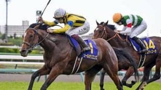 ソールオリエンスの二冠達成の可能性は？　日本ダービーの行方が見える「３歳牡馬ランキング」