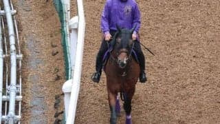 ジュンライトボルトなど、先週の入厩情報/栗東トレセンニュース