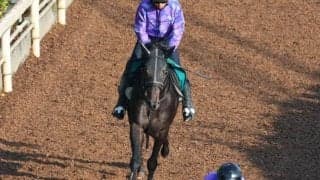 ラケダイモーンなど、先週のゲート試験/栗東トレセンニュース