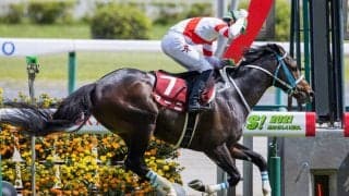 マーニが競走馬登録抹消