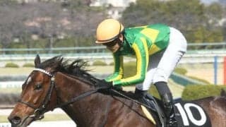 【日本ダービー展望】ディープ産駒不在は13年ぶり、後継サトノダイヤモンド産駒のサトノグランツに期待したい