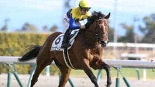 白熱の日本ダービー「打倒ソールオリエンス」が秘かに期待されている馬とは？