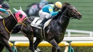 戸崎圭太騎手「勝者の景色を見てみたい」 9度目の日本ダービーで悲願達成へ