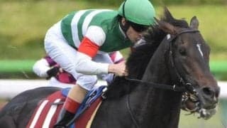 幾多の名馬が阻まれ続けた壁 スキルヴィングが青葉賞馬の日本ダービー初制覇に挑む
