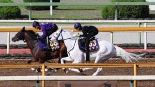 ソダシ、安田記念1週前追い切り速報/栗東トレセンニュース