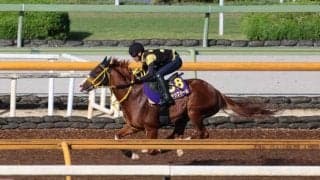 ジャックドール、安田記念1週前追い切り速報/栗東トレセンニュース