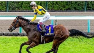 社台ファーム13年ぶりのダービーVは待ったなし ソールオリエンスなど3頭送り込み