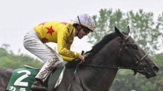 新潟大賞典Vカラテ、チャレンジC連覇ソーヴァリアントなど 鳴尾記念想定15頭