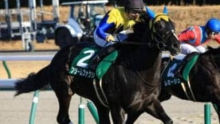 セレクト1.5億円の超良血馬 半姉ディアドラに続くGI制覇目指す