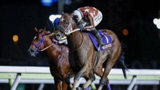 【大井・大井記念結果】セイカメテオポリスが差し切って重賞連勝！