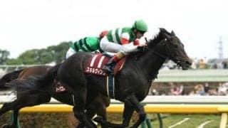 日本ダービー「２強」の一角、スキルヴィングの血統の信頼度は？ 父仔３代制覇を狙うドゥラメンテ産駒にも注目