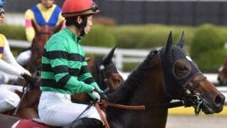 ハーツコンチェルトが血の後ろ盾で上位進出!? 東京芝2400mにまつわる複勝率100％データ