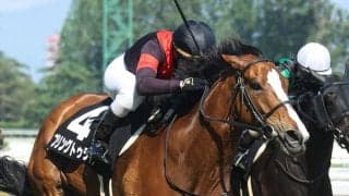 【二王子特別】柴山「4角での反応良かった」12番人気ブリングトゥライフが激走