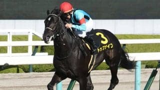 ダービーで“切れ味鋭い走り”を ホープフルS2着馬が惜敗続きの悔しさ晴らす