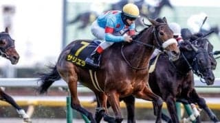 【目黒記念出走馬・騎手確定】サリエラ＆C.ルメール騎手、ライラック＆M.デムーロ騎手など18頭