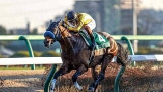 【門別・北海道スプリントC出走予定馬】ダンシングプリンス、ケイアイドリーら