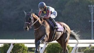 【浦和・さきたま杯出走予定馬】シャマル、コンシリエーレら