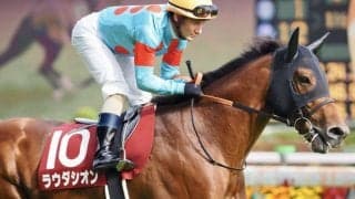 ラウダシオンが競走馬登録抹消