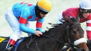 伸びシロたっぷりの凱旋門賞登録馬 目黒記念できょうだい3頭目の重賞勝ちへ