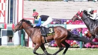 ソールオリエンスの二冠達成を阻止する馬はいるか？　穴党記者が日本ダービーで一発を期待する伏兵２頭