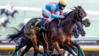 【目黒記念枠順確定】サリエラは8枠16番、ライラックは2枠4番